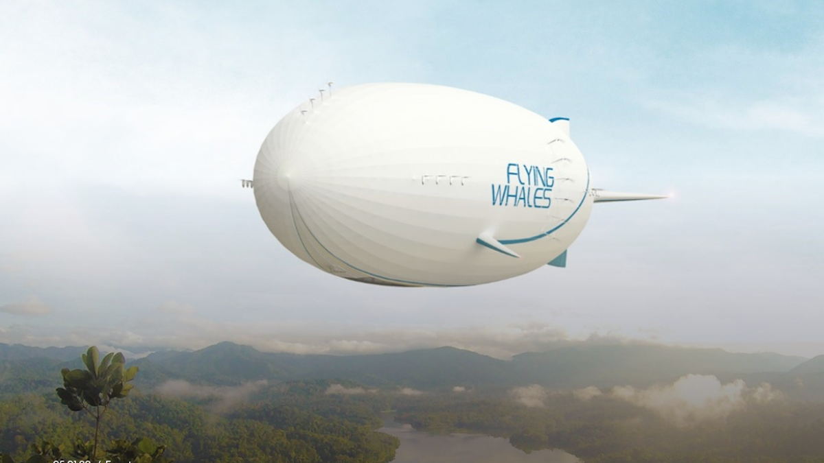 Flying whales airship